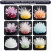 Crystal Growing Science Kit for STEM Learning