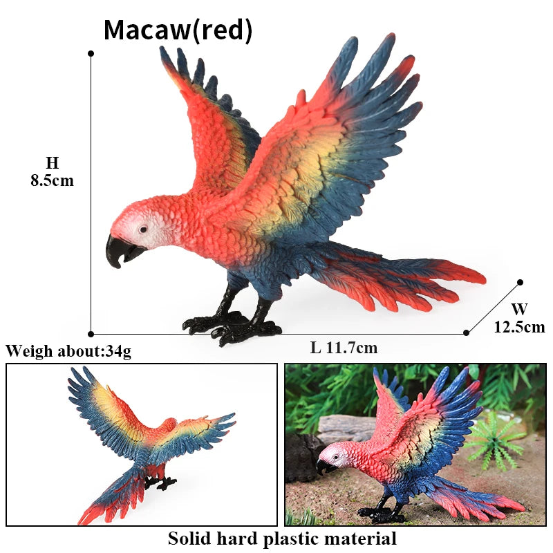 Realistic Bird Figurine Set – Educational PVC Models for Kids and Collectors