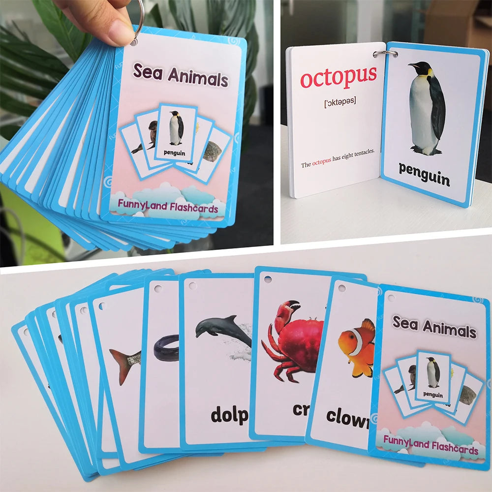 A collection of blue and pink flashcards featuring sea animals like penguins, octopuses, and dolphins for children's learning