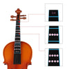 A close-up view of a violin fretboard showing note stickers for beginners, including the 3/4 and A, E, B, F#, C, G, D notes.