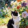 A black and white cat sits amidst lush green foliage and colorful flowers in a sunny garden setting.