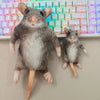 Two realistic gray rodent plush toys with long tails are displayed in front of a keyboard.