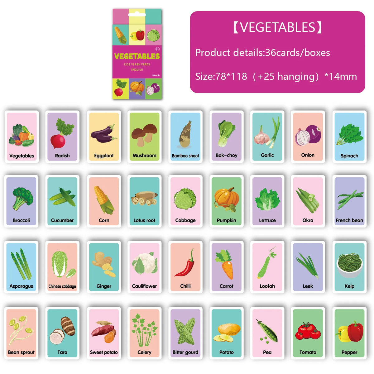 Animal Shape Color & Time Learning Flash Cards for Kids