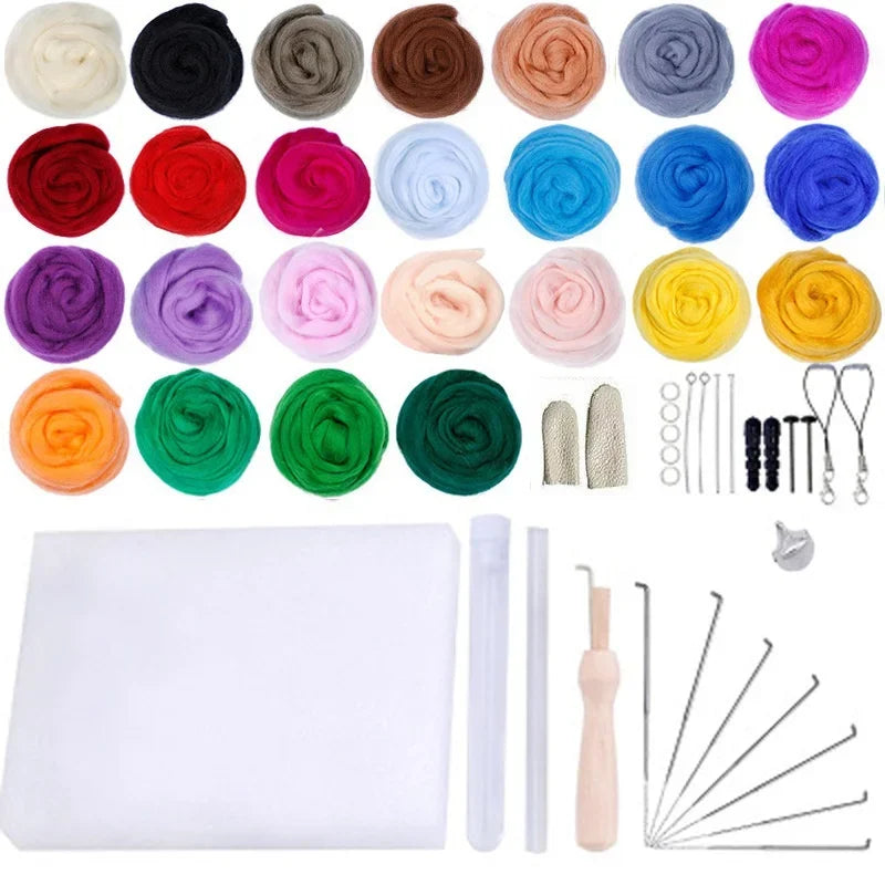 Colorful Needle Felting Starter Kit with Wool Roving and Tools