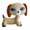 A charming bobblehead figurine of a light tan dachshund with brown floppy ears and blue eyes.