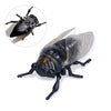 A wind-up insect toy set featuring a ladybug, bee, and beetle.