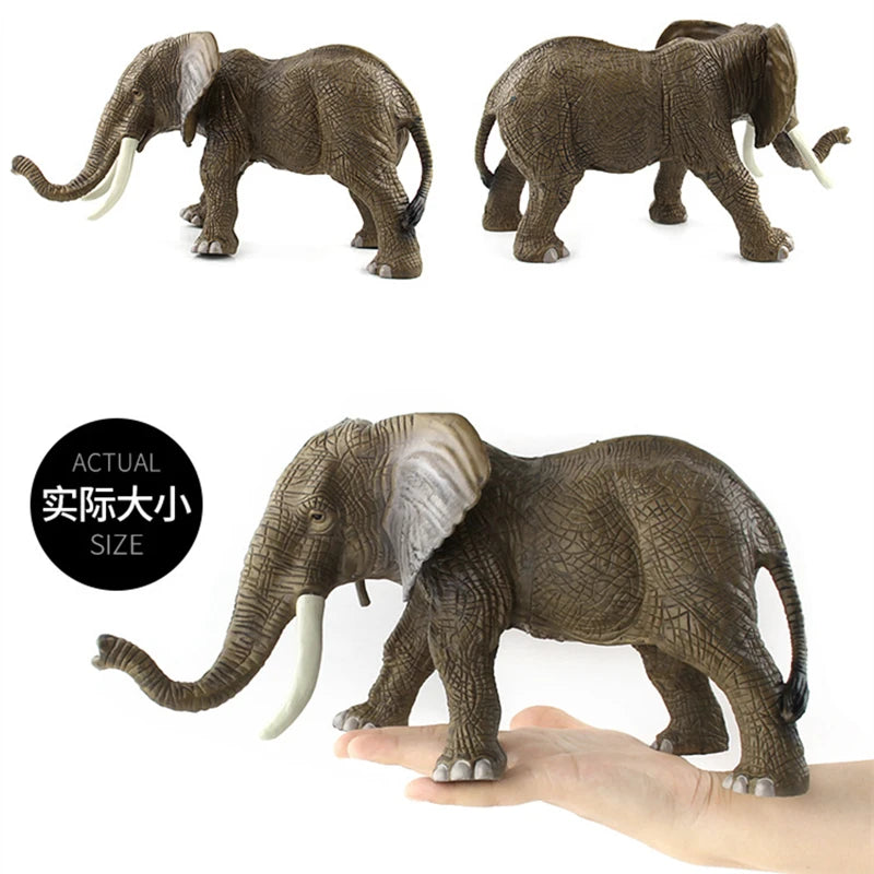 Realistic Wild Animal Figures - Leopard, Tiger, Lion, Elephant, Zebra Set