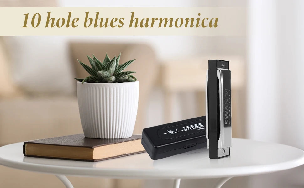 10-Hole Diatonic Blues Harmonica in C with Protective Case