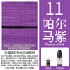 Permanent Fabric Paint for Clothes, T-Shirts & Canvas