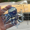 A clear plastic pouch contains a blue stretchable octopus stress ball with tentacles and stars.