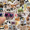 A collage of various cute cat and animal faces in stickers