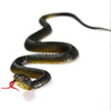 A black rubber snake prop with a red tongue, coiled and curved against a white background.