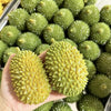 A hand holds a bright green crunchy durian squeeze toy with a textured surface.