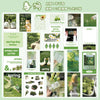 A variety pack of 50 nature and seasonal scenery stickers featuring spring themes like flowers, leaves, and greenery.