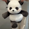 A white and black panda stuffed animal is being held up against a light background.