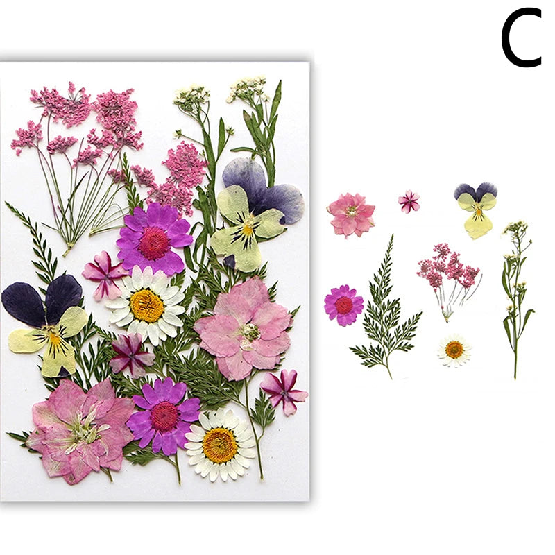 A collection of pressed natural dried flowers in various shades of pink, purple, and white on a white background.