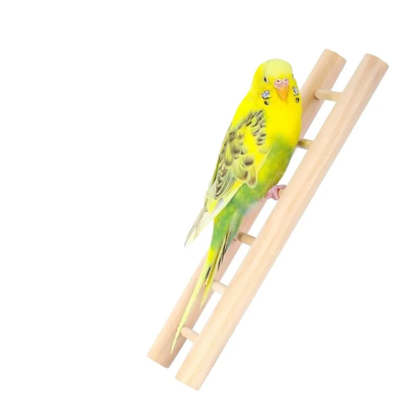 A yellow parrot is perched on a wooden climbing ladder used as a bird play gym toy.