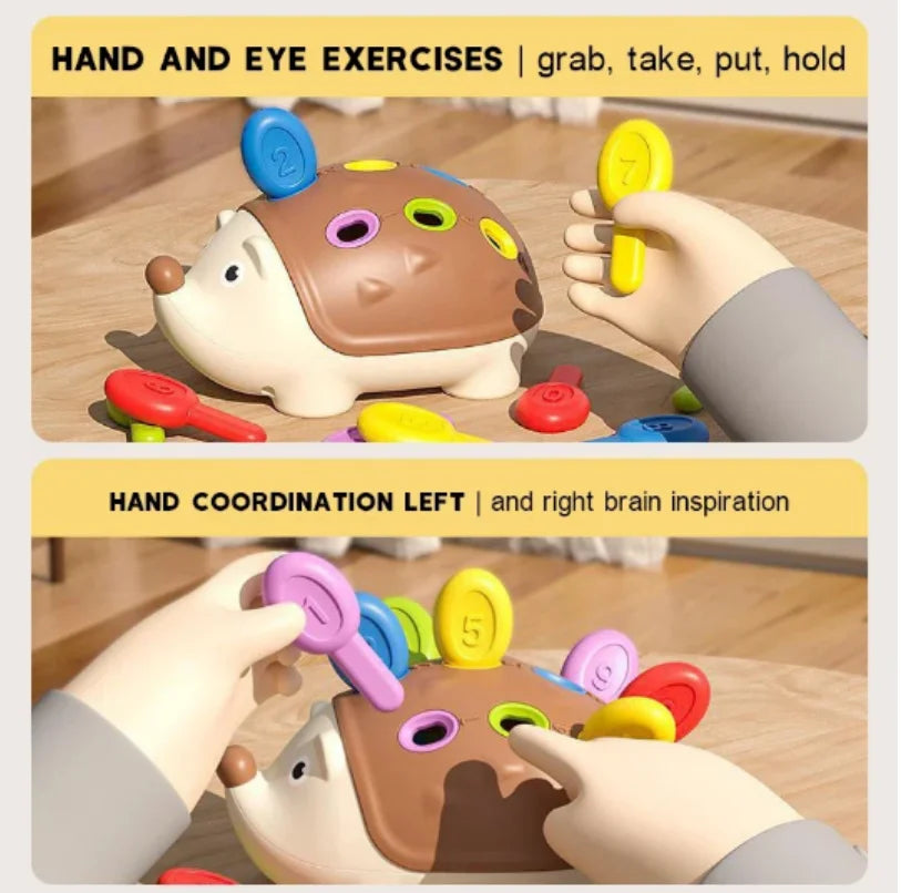 Montessori Hedgehog Toy for Fine Motor Skills and Sensory Learning