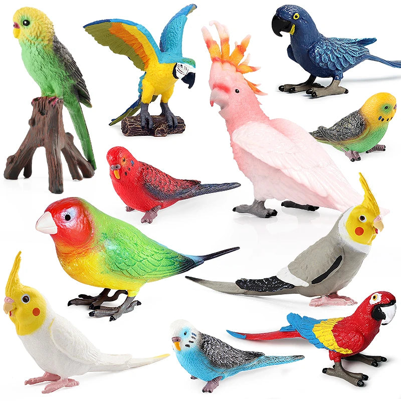 Realistic Bird Figurine Set – Educational PVC Models for Kids and Collectors
