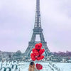 A view of the Eiffel Tower in Paris under a cloudy sky, with snow on the ground.