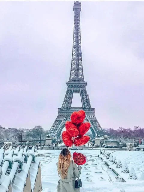 A view of the Eiffel Tower in Paris under a cloudy sky, with snow on the ground.