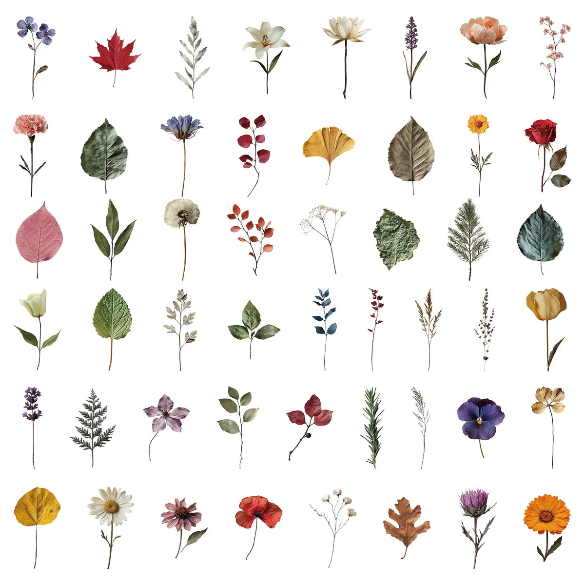 Cute Plant Stickers - Waterproof Botanical Decals for Laptops, Phones & More
