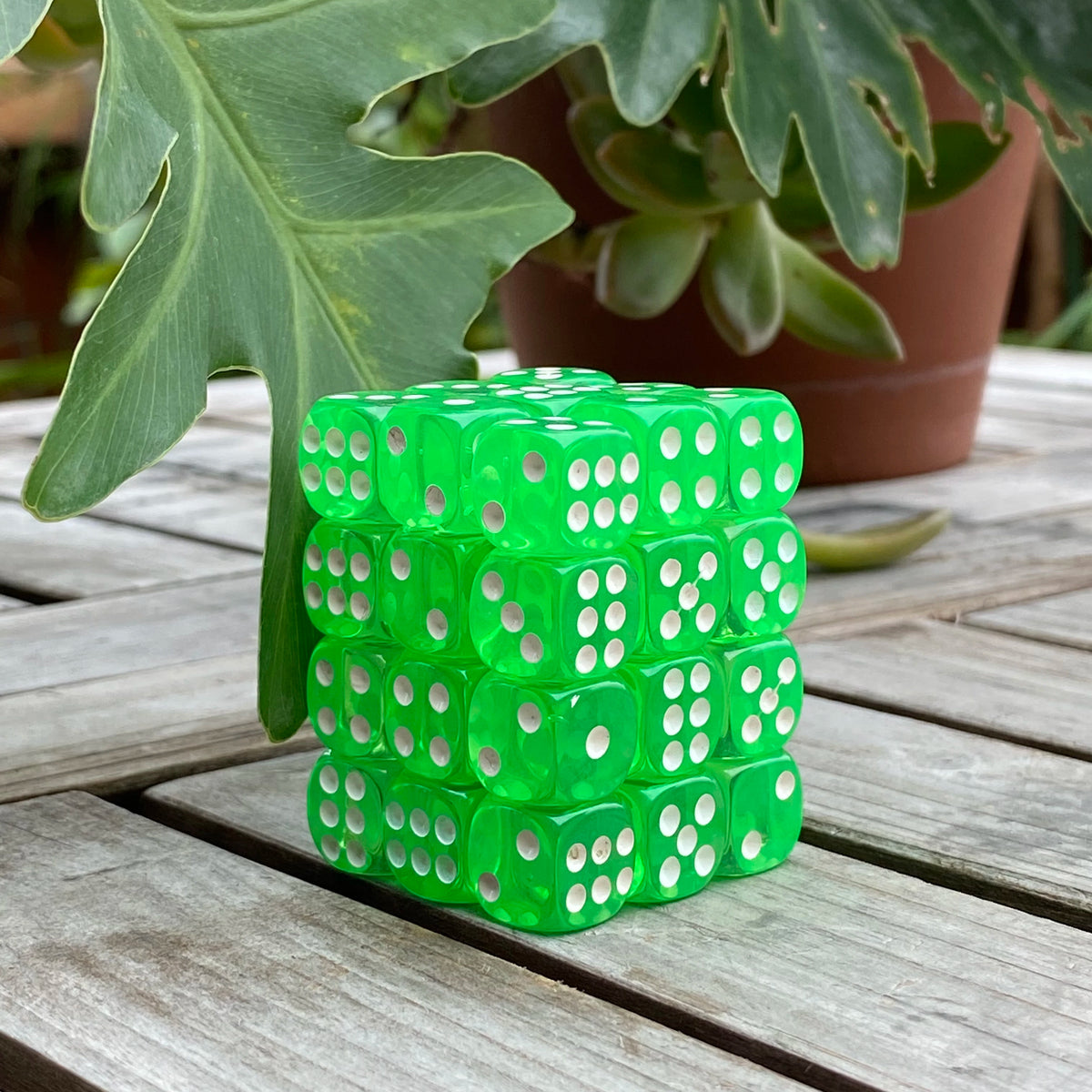 A stack of 36 transparent green dice set resting on a wooden surface next to a potted plant.