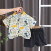 A boy's cotton summer short sleeve t-shirt and shorts set featuring a dinosaur pattern hanging on a white rack.