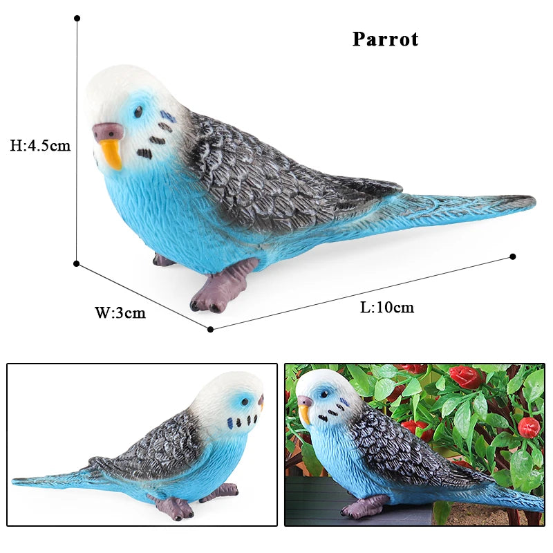 Realistic Bird Figurine Set – Educational PVC Models for Kids and Collectors