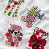 Pressed natural dried flowers in various colors like pink red purple and white arranged on white cards