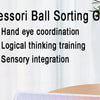 Rainbow Ball Sorting Board Game for Kids