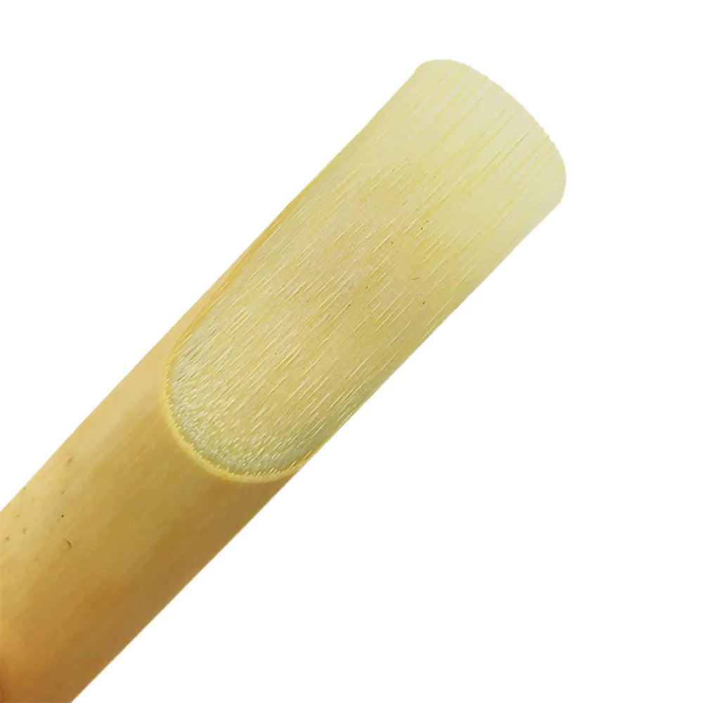 A close-up view of a light wood saxophone and clarinet reed.