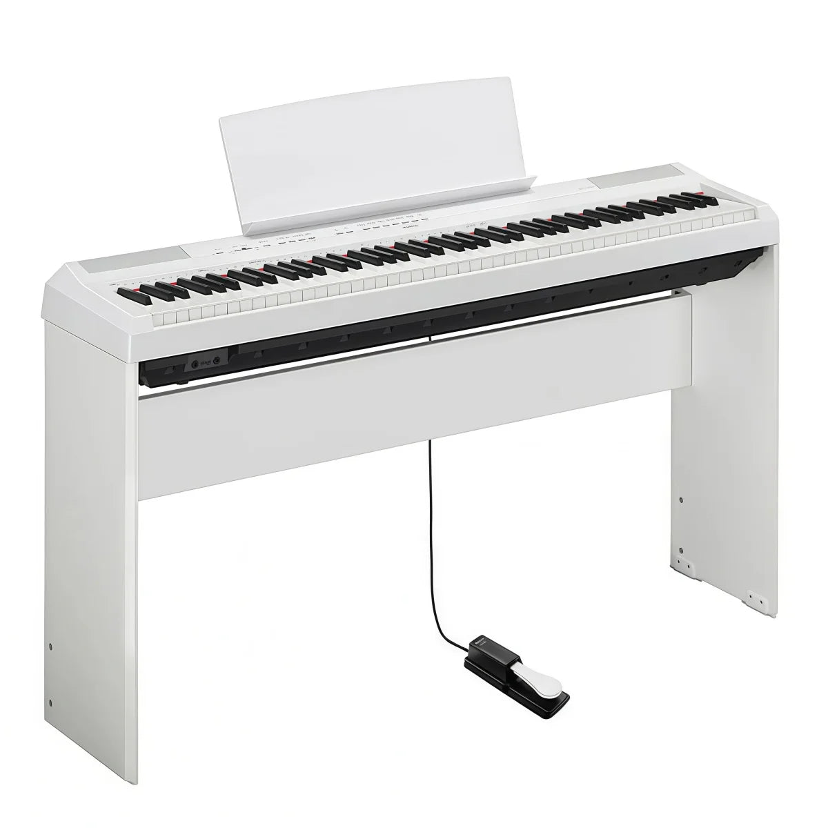 Universal Sustain Pedal with Polarity Switch for Keyboards and Digital Pianos