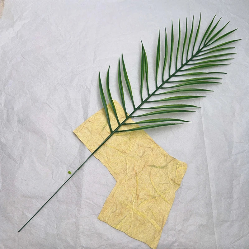 A long, green palm frond rests on a yellow piece of paper against a white background.