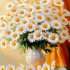 A bouquet of white daisies in a vase on a table with orange fabric backdrop.