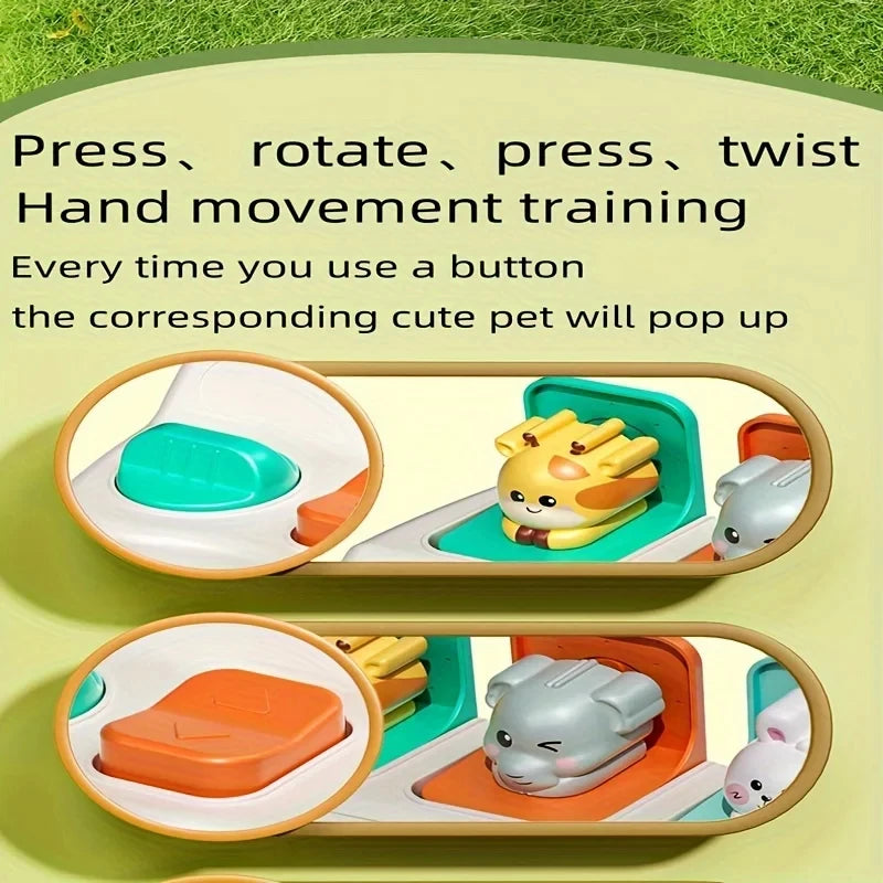 Montessori Pop-Up Animal Toy & Learning Box Set