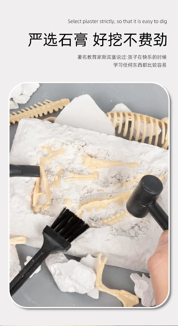 A white plaster block with fossil-like impressions and clay-like material is shown alongside tools for a dinosaur fossil dig 