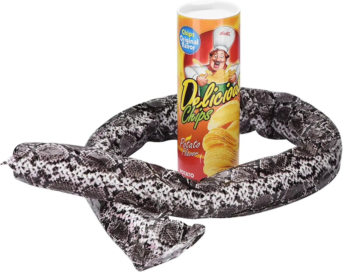 Surprise Prank Snake in a Potato Chip Can