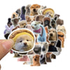 A collection of cute cat and animal stickers featuring various breeds and styles for crafting and decorating.