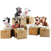 Interactive Robot Dog Piggy Bank for Kids