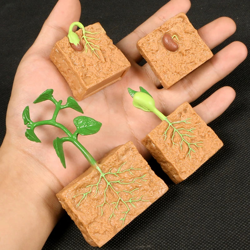 A set of terracotta-colored blocks illustrating the animal and plant life cycle, including seeds, sprouts, and roots.