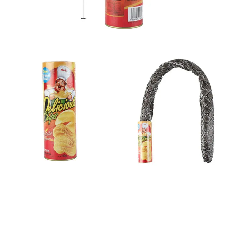 Surprise Prank Snake in a Potato Chip Can
