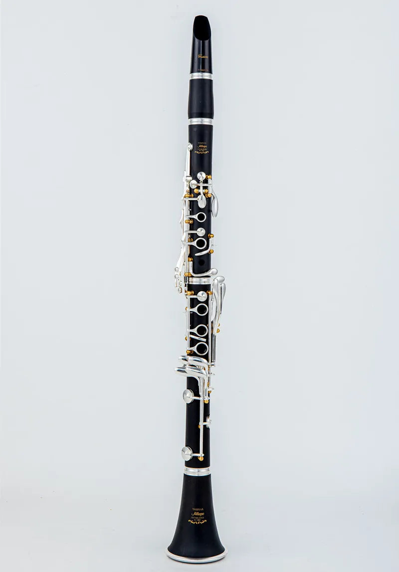Professional Bb Clarinet with Case