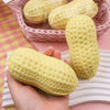 Squishy Peanut Stress Relief Toy – Soft Fidget for All Ages