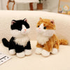 A pair of adorable sitting kitten plush dolls, one black and white and one orange and white.
