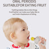 Baby Fruit Feeder with Silicone Mesh Bag