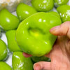 A hand holds a bright green color-changing mango squishy stress ball surrounded by other similar squishies.