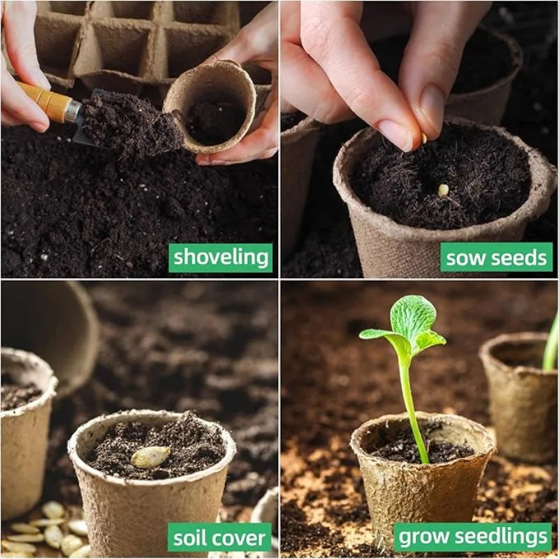 Hands shoveling soil into biodegradable peat pots for sowing seeds and growing seedlings.