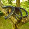 A dark rubber snake toy is coiled around a tree branch in an outdoor setting.