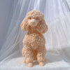 A light peach colored poodle dog silicone candle mold for DIY crafting displayed against a white sheer fabric background.